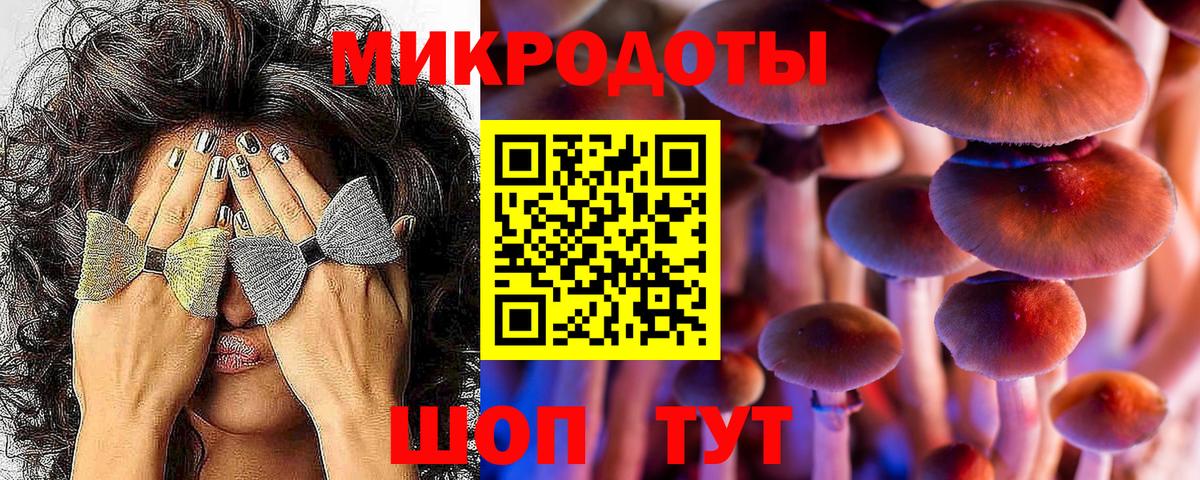 Урус-Мартан  Псилоцибиновые грибы MAGIC MUSHROOMS  Вход с VPN 