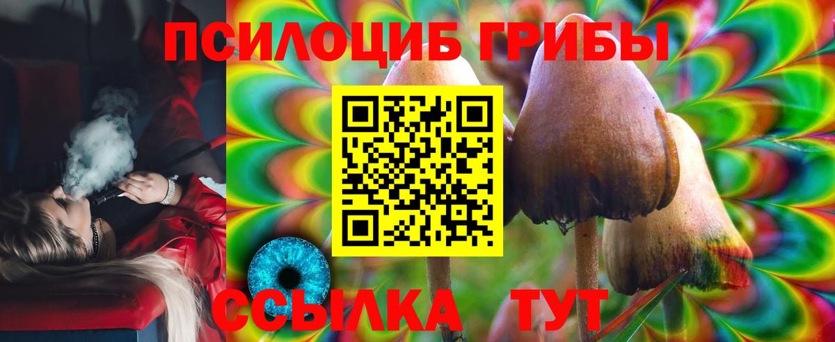 Псилоцибиновые грибы Cubensis Урус-Мартан
